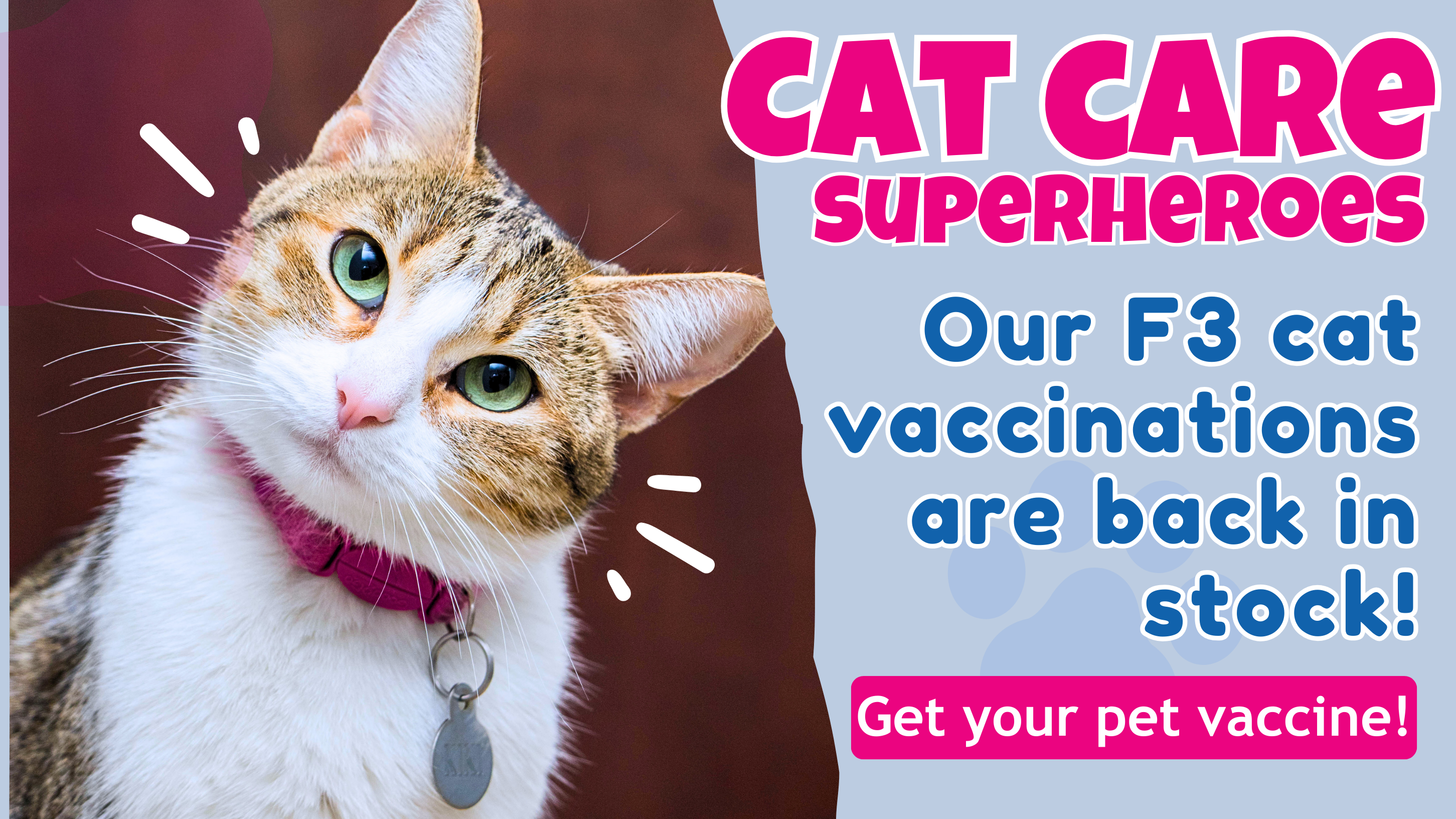 F3 cat vaccine is back on stock
