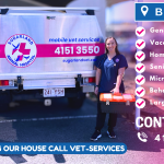 Emergency House-Call Vet Service at Sugarland Animal Hospital