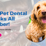 Free Pet Dental Checks All October!